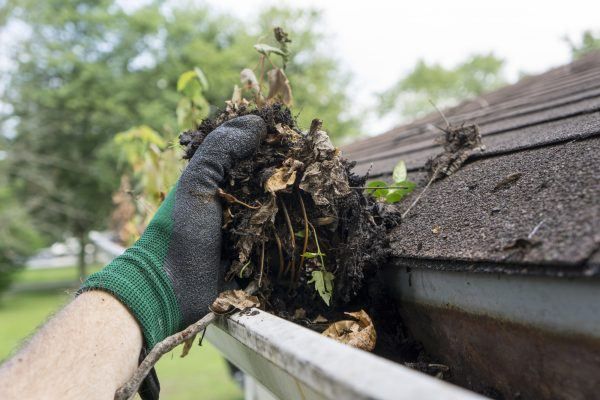 Gutter Cleaning Service Lake Oswego OR 3