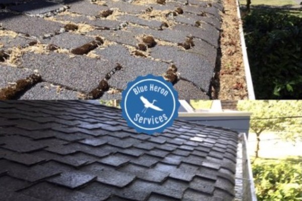 roof cleaning service in lake oswego or 4